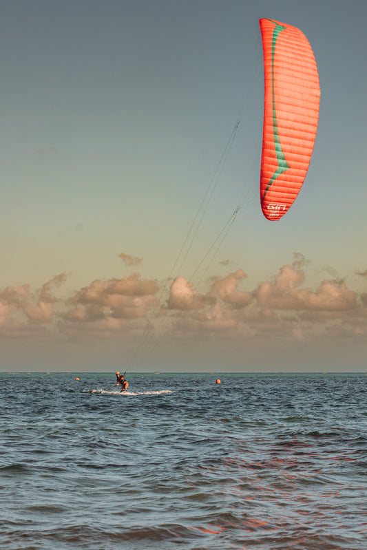 GIN - Instinct HB Kite