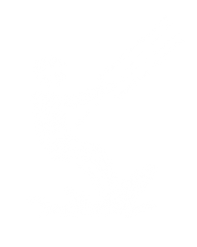 Learn to Ride