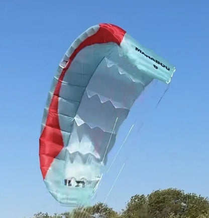 Gin Marabou V2s flying in the sky